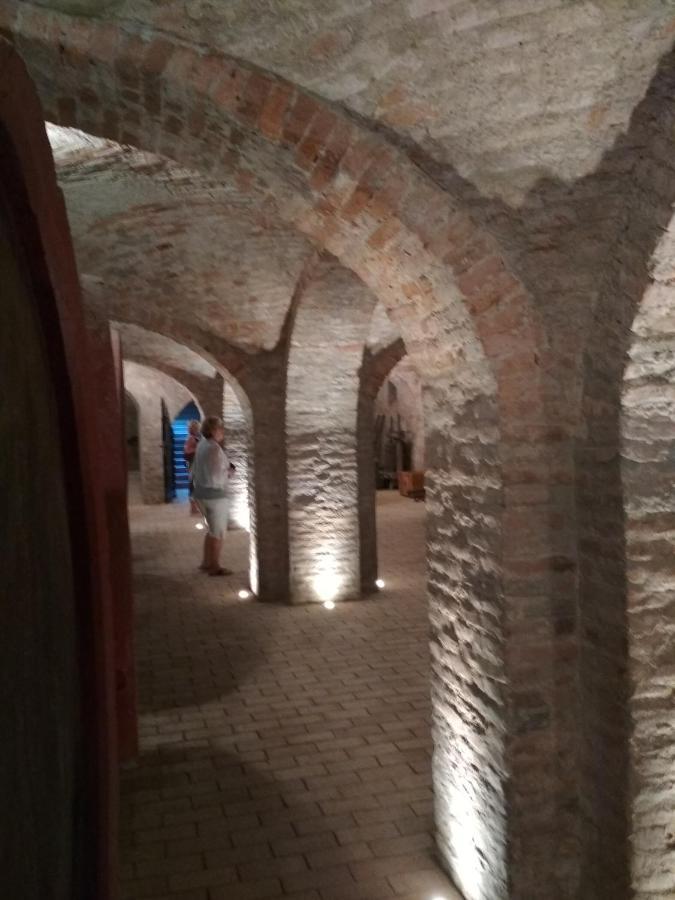شقة Golya Vendeghaz Tiszaug المظهر الخارجي الصورة